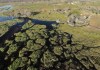 Travel: Wild Beauty Awaits The Adventure-Lover On Chief’s Island