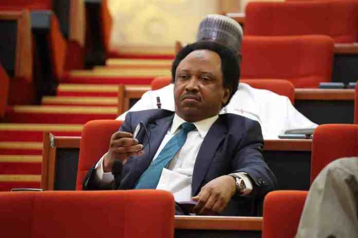 Just In: Senator Shehu Sani Dumps APC 2 shehu sani