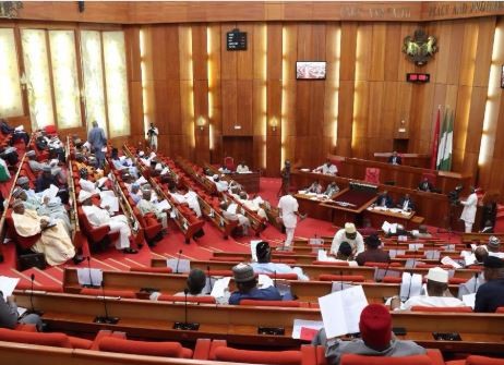 Sowore: Senate Begins Probe Of DSS For Invading Court To Re-arrest Activist 1