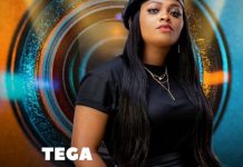 BBNaija Season 6: Meet Tega, The Calm And Collected Stylish Female Housemate Of The ‘Shine Ya Eye House’ – Video