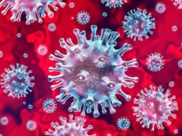 Coronavirus Edo