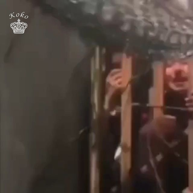 Talibans Are Coming For Me - Afghan Women Cry Out
The women of Afghanistan are crying out to US soldiers for help through gate of Kabul airport as Taliban fire into the air and whip people.
Since the Talibans took over Afghanistan people in grooves have been trying to flee the country.
#kokotv #afghanistan #taliban