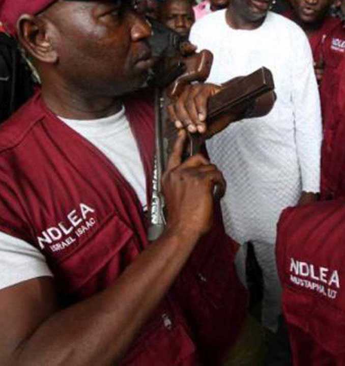 ndlea