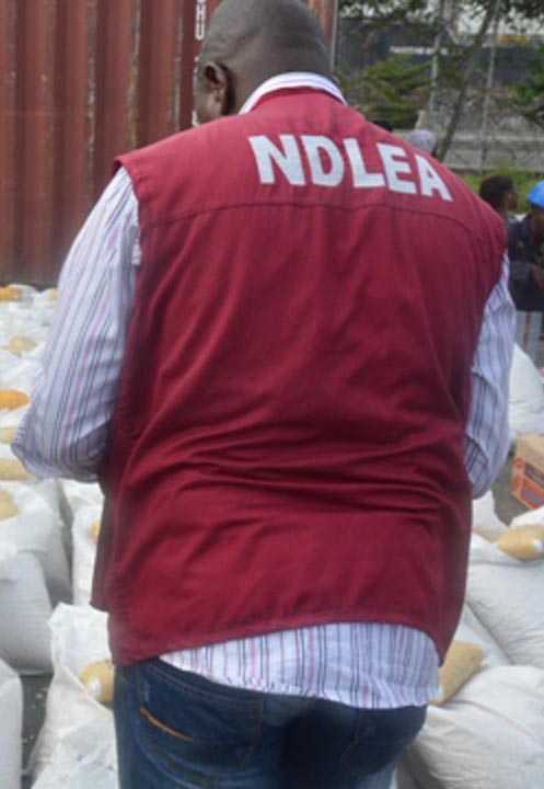 ndlea