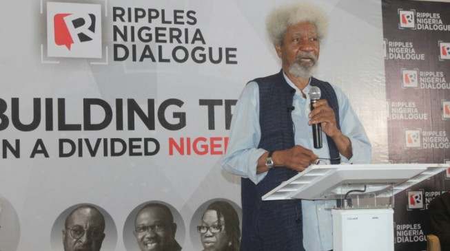 Hate Speech Bill: "Your Motives Are Dubious", Wole Soyinka Slams FG