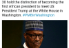 Nigerians Slam Presidential Media Aide For Saying Buhari Will Be The First African President To Meet Trump At The White House