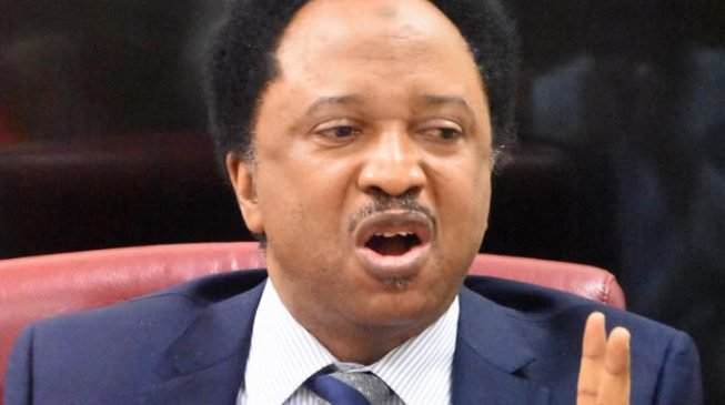 Senator Shehu Sani Withdraws From APC Senatorial Primaries In Kaduna 2