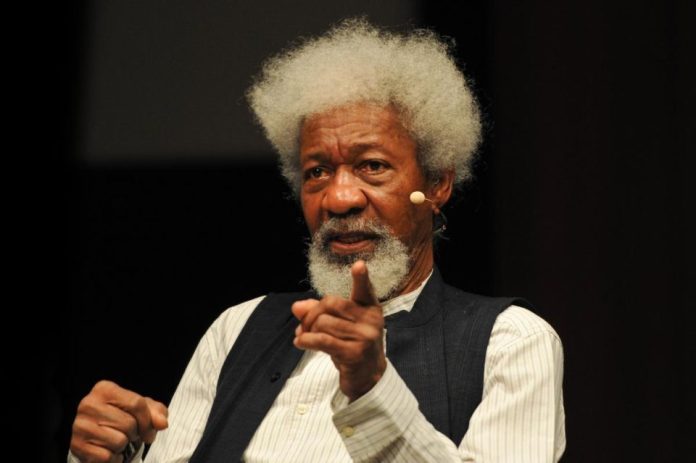 Hate Speech Bill: "Your Motives Are Dubious", Wole Soyinka Slams FG