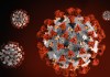 Coronavirus COVID-19