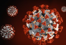 Coronavirus COVID-19