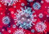 Latest COVID-19 Outbreak In Beijing Originated From Europe – Chinese Officials Claim Coronavirus Edo