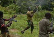Just In: Gunmen Kill 12, Injure Five Others In Plateau Bandits