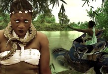 Destiny Etiko KOKO TV NG 7