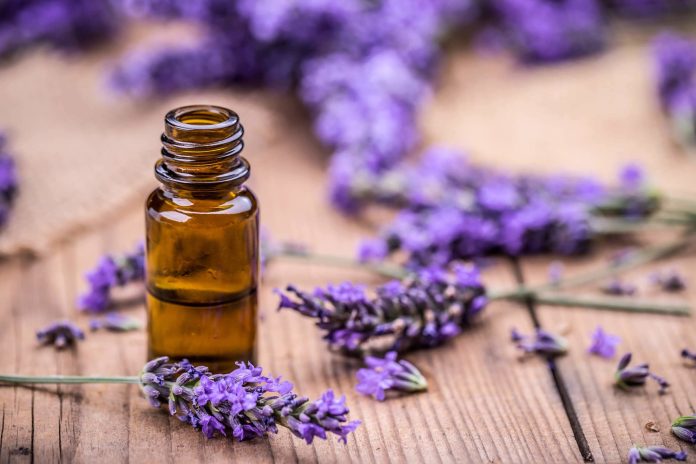 lavender oil hair oil for hair growth