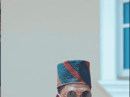 Debo Adebayo Mr Macaroni