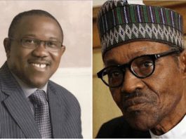 2023: I Cannot Consider Peter Obi For President, All He Did As Anambra Governor Was Digging Boreholes – Asari Dokubo
